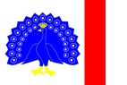 Vlajka_Bedihost_PV