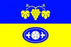 Vlajka_Borkovany