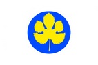 Vlajka_Borsice