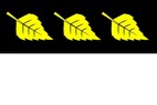 Vlajka_Brezi_ZR