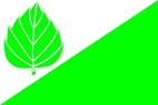 Vlajka_Brezina_BI