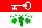 Vlajka_Brno-Bohunice