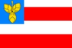 Vlajka_Brno-Novy_Liskovec