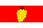 Vlajka_Brno-Vinohrady