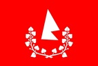 Vlajka_Ceska