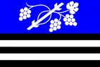 Vlajka_Dolni_Bojanovice