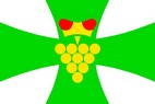 Vlajka_Domanin