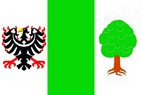 Vlajka_Horni_Lidec