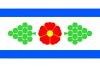 Vlajka_Kosiky
