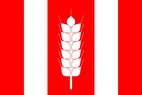Vlajka_Letonice