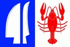 Vlajka_Nemile