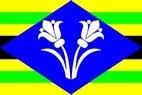 Vlajka_Rozsec_nad_Kunstatem