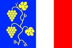 Vlajka_Sardice
