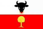 Vlajka_Ujcov