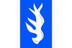 Vlajka_Vlachovice