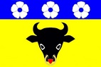 Vlajka_Zdanice_ZR