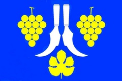 navrh_Vlajka_Borsice