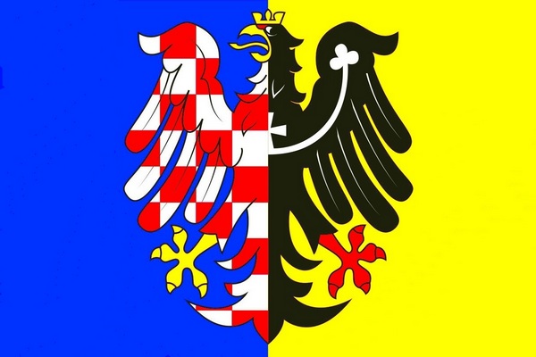 navrh_prapor_HSD-SMS_mensi